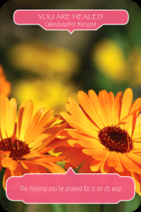 Hovedbilde Fairy Tarot Cards-Doreen ...