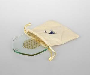 Hovedbilde Vital Golden Voyager plate ...