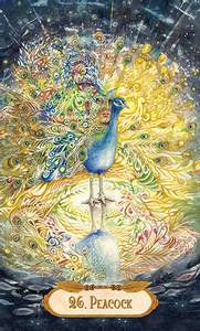 Hovedbilde Winged Enchantment ...