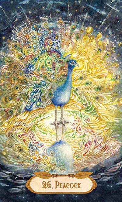 Hovedbilde Winged Enchantment ...