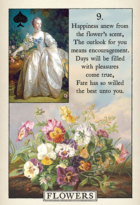 Hovedbilde Blue Bird Lenormand -Fortune ...