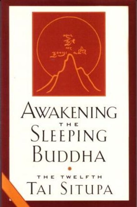 Hovedbilde Awakening The Sleeping Buddha ...