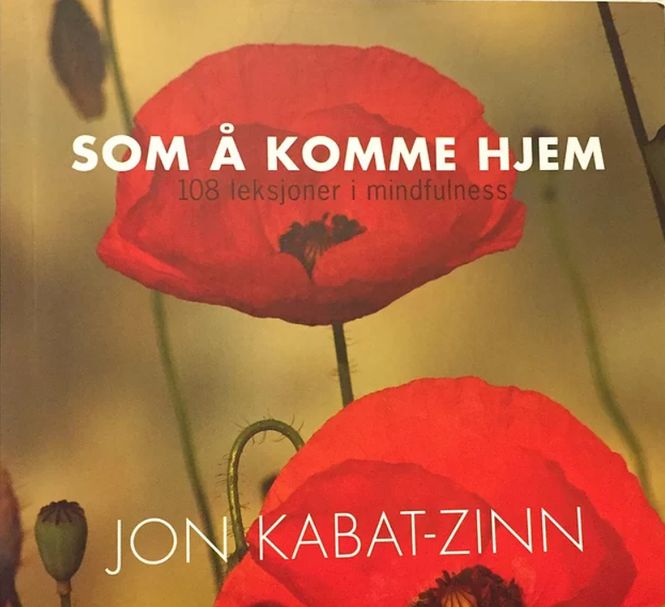 Hovedbilde 108 leksjoner i mindfulness - ...