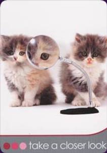 Hovedbilde Cat Wisdom Cards - Toni ...
