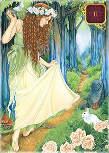 Hovedbilde Dreams of Gaia Tarot Pocket - ...